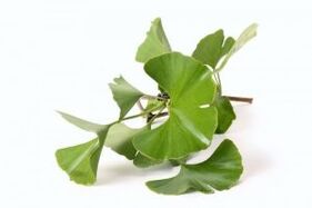 Ginkgo biloba για μεγέθυνση πέους